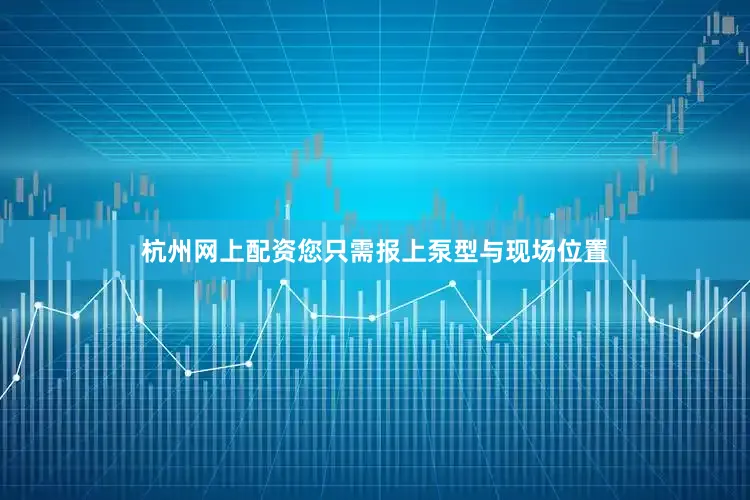杭州网上配资您只需报上泵型与现场位置
